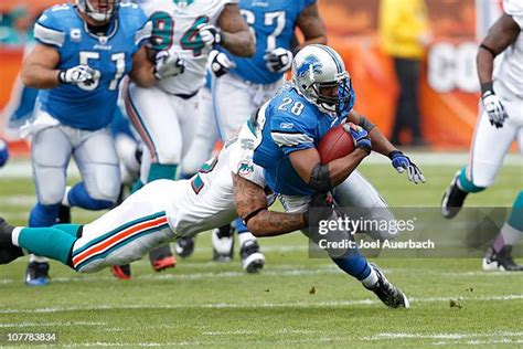Channing Crowder NFL stats career tackles Miami Dolphins