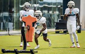 Jaylen Wright 2025 season knee injury recovery touchdowns Dolphins