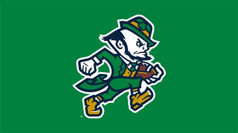 Notre Dame Fighting Irish defensive end football